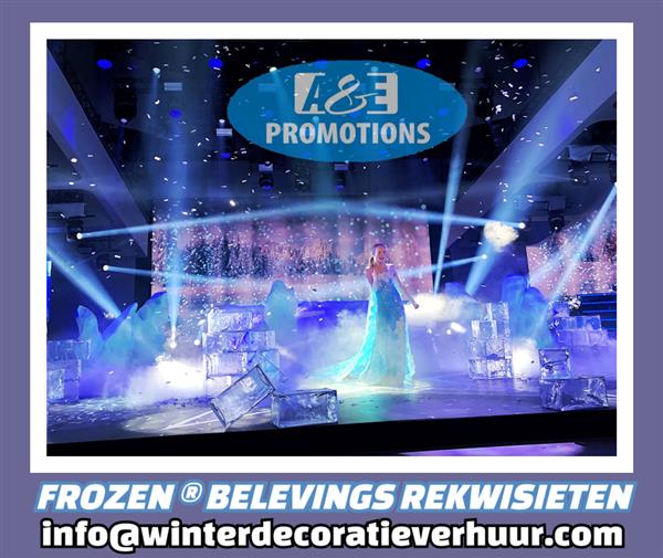 Grote foto frozen styling verhuur aankleding frozen haarlem hobby en vrije tijd feestartikelen verhuur
