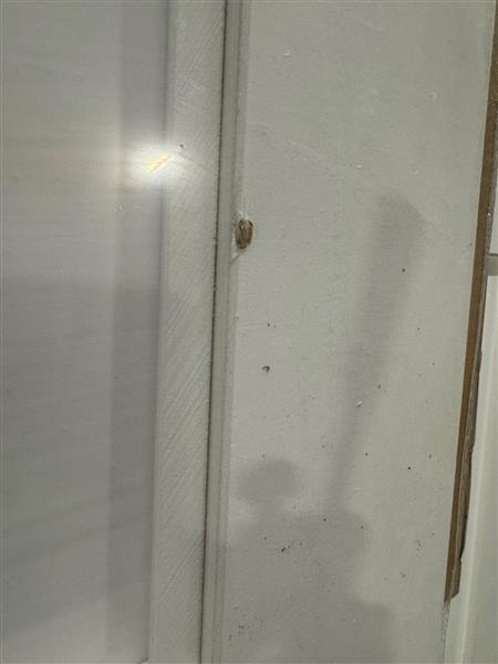 Grote foto skantrae binnendeur e 003 88x231 5 doe het zelf en verbouw deuren en horren