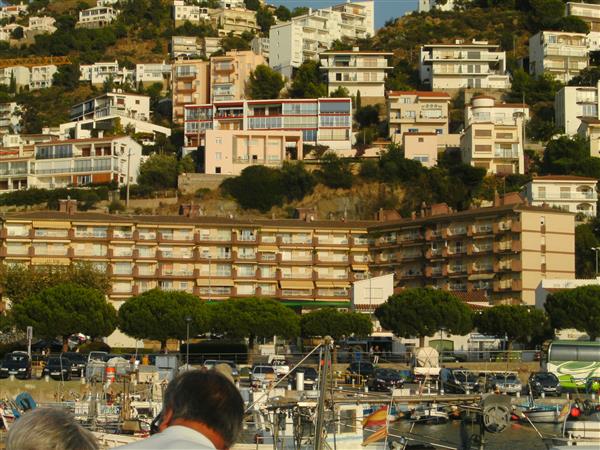 Grote foto rosas genieten in de voorjaarszon vakantie spanje