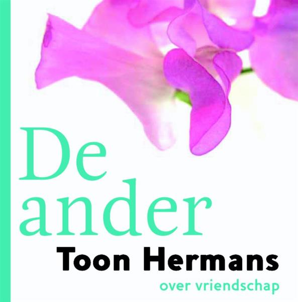 Grote foto de ander boeken stripboeken