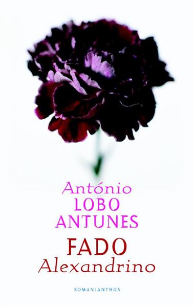 Grote foto fado alexandrino boeken overige boeken