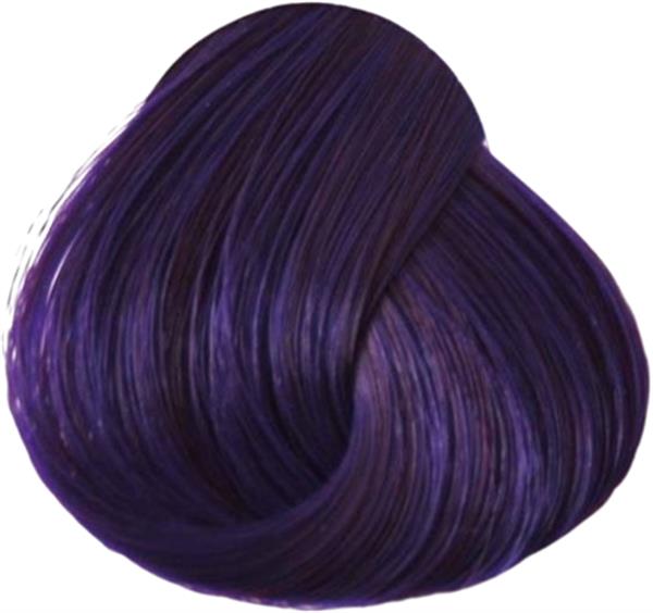 Grote foto la riche directions colors 88ml plum kleding dames sieraden