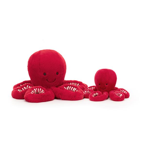 Grote foto cranberry octopus large audio tv en foto algemeen