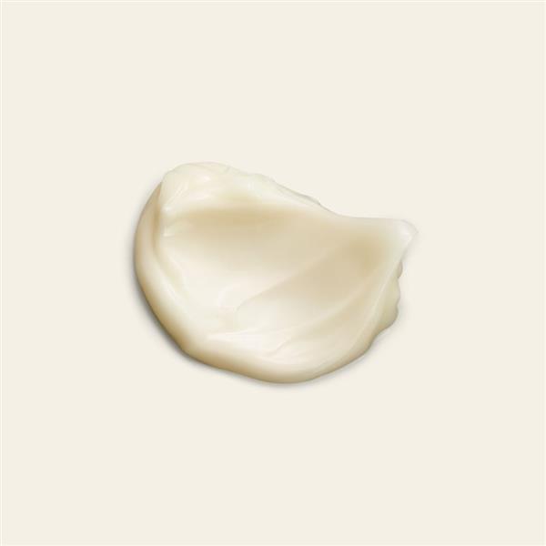 Grote foto hand lotion ginger 300ml audio tv en foto algemeen