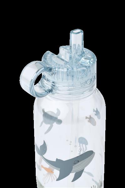 Grote foto drinkfles yang water bottle 350 ml sea creature sandy audio tv en foto algemeen