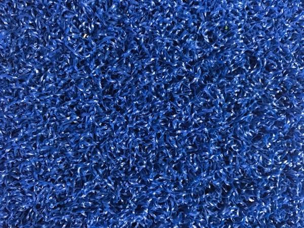 Grote foto sprinttrack multiplay pro blauw audio tv en foto algemeen