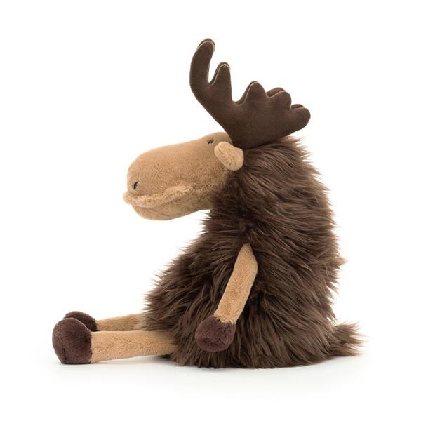 Grote foto merrick moose audio tv en foto algemeen
