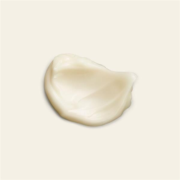 Grote foto hand lotion ginger 300ml audio tv en foto algemeen