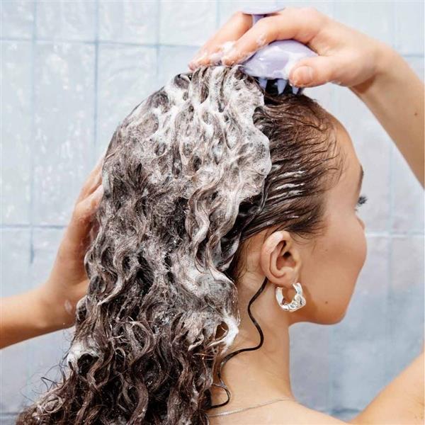 Grote foto scalp brush lavender blue audio tv en foto algemeen
