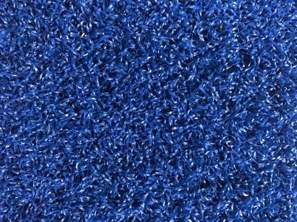 Grote foto sprinttrack multiplay pro blauw audio tv en foto algemeen