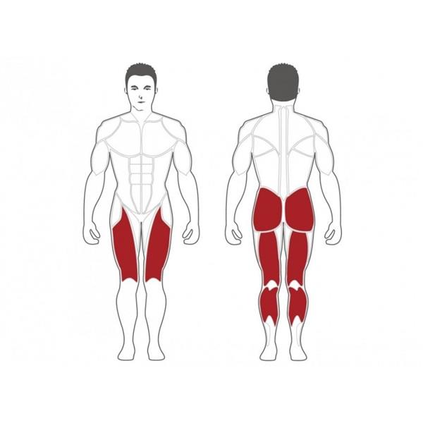 Grote foto plate load standing squat machine gratis installatie audio tv en foto algemeen