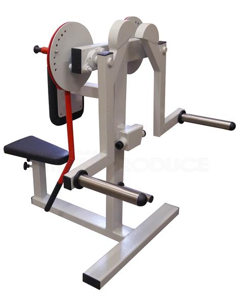 Grote foto seated lateral shoulder raise machine plate loaded audio tv en foto algemeen
