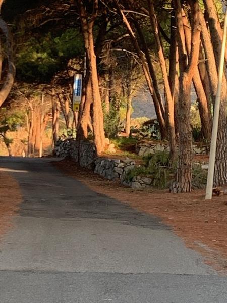 Grote foto landgoed in calabria italie te koop huizen en kamers bestaand europa