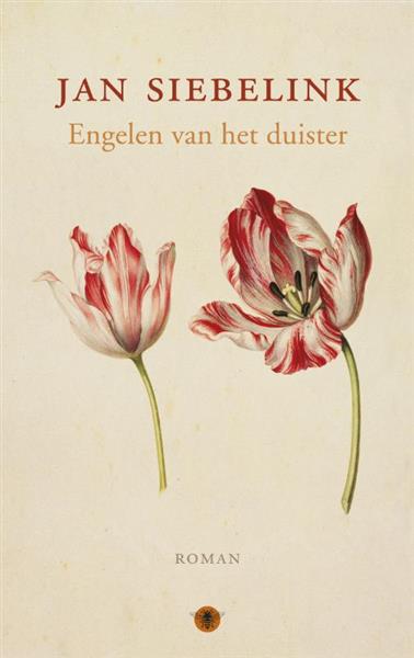 Grote foto engelen van het duister boeken overige boeken