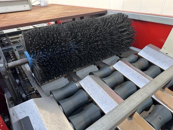 Grote foto aweta g3 8 1 paprikasorteermachine agrarisch tuinbouw