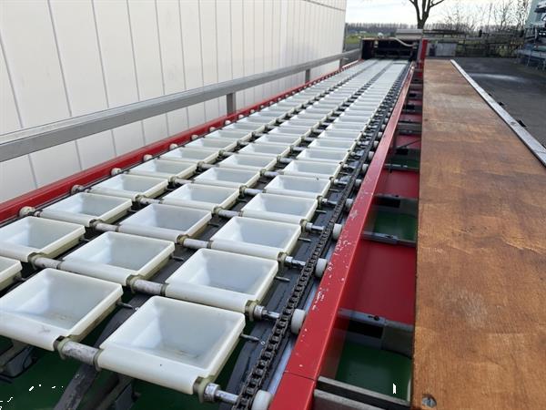 Grote foto aweta g3 8 1 paprikasorteermachine agrarisch tuinbouw