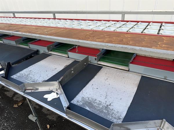 Grote foto aweta g3 8 1 paprikasorteermachine agrarisch tuinbouw