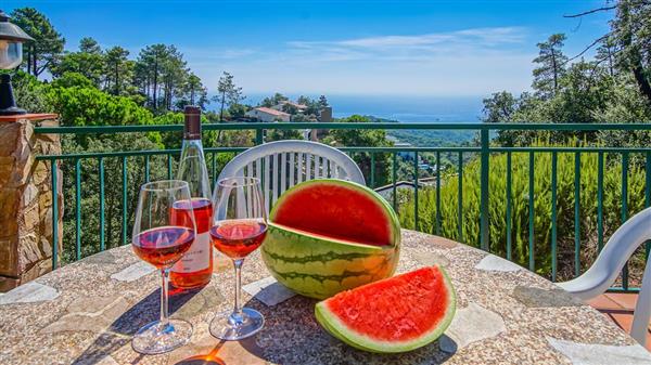 Grote foto prive vakantiehuis met zwembad spanje costa brava vakantie spaanse kust