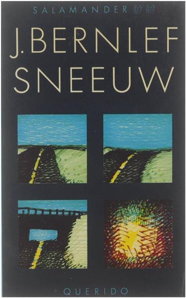 Grote foto bernlef buiten is het maandag de onzichtbare jon boeken literatuur