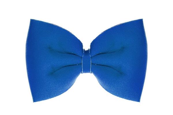 Grote foto blauwe strik verzamelen overige verzamelingen