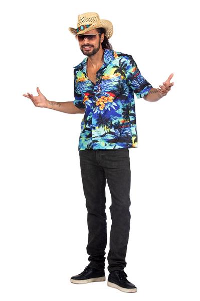 Grote foto hawaii blouse heren palmboom verzamelen overige verzamelingen