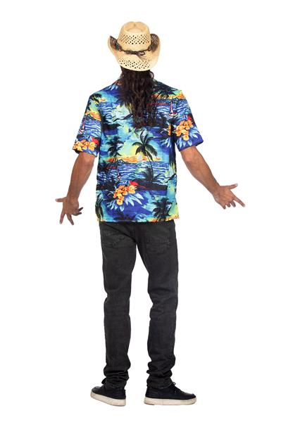 Grote foto hawaii blouse heren palmboom verzamelen overige verzamelingen