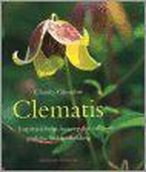 Grote foto clematis boeken hobby en vrije tijd