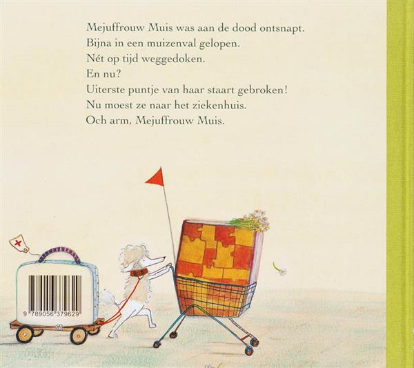 Grote foto mejuffrouw muis in het ziekenhuis boeken overige boeken