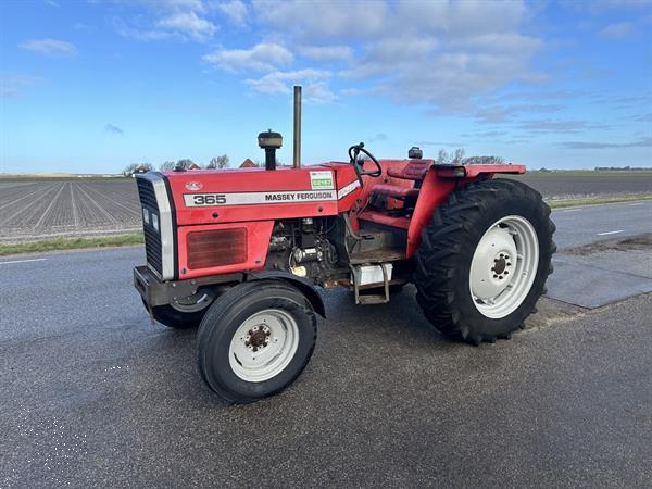 Grote foto massey ferguson 365 agrarisch tractoren