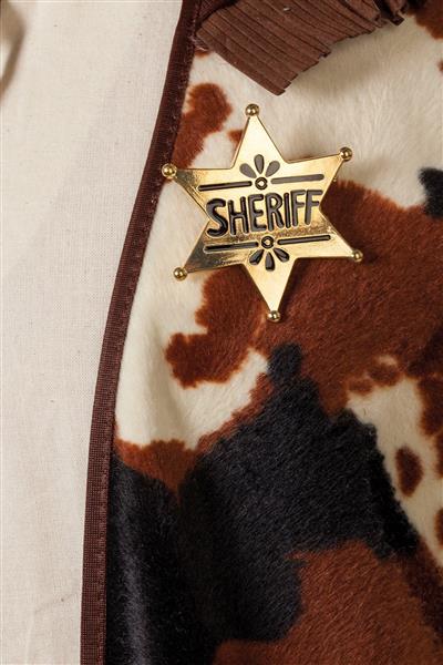 Grote foto badge sheriff verzamelen overige verzamelingen