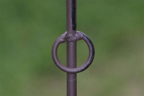 Grote foto plantensteun eekhoorn met 2 ogen 130cm py25e 2 tuin en terras overige tuin en terras