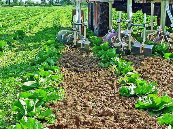 Grote foto kramer oliver agro rotor schoffel rotor schoffel agrarisch cultivators en woelers