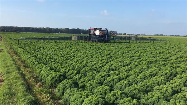 Grote foto kramer swincosem pneumaat maximaal 27 meter agrarisch strooiers