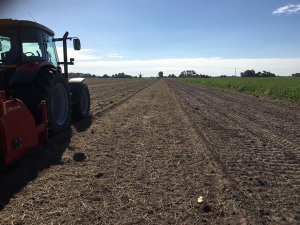 Grote foto mechanische onkruid verwijderen gmn kweek kvik killer optioneel met voorzet woel agrarisch akkerbouw