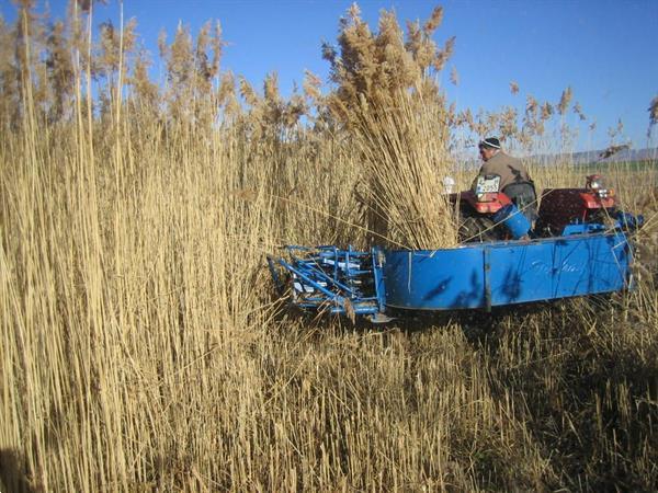 Grote foto kramer minos binder maaier oogsten binden tarwe tarwe gerst haver rogge en riet. agrarisch oogstmachines