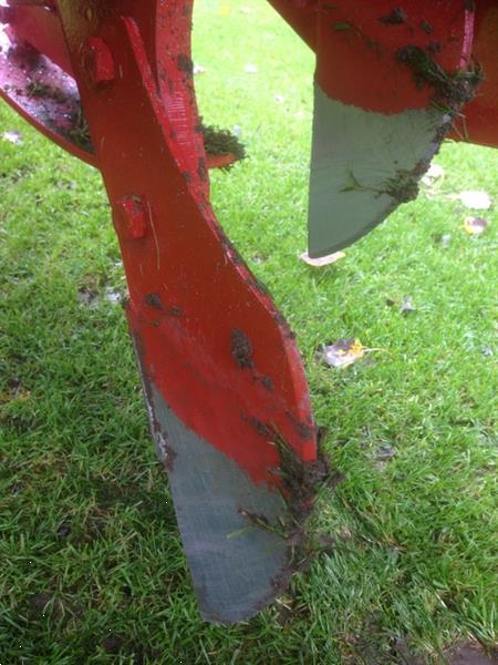 Grote foto gramegna gras zoden beluchter agrarisch akkerbouw