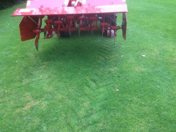Grote foto gramegna gras zoden beluchter agrarisch akkerbouw