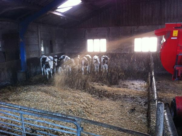 Grote foto skovbo stroverdeler straw blower strohverteiler agrarisch algemeen