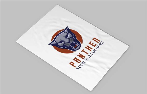 Grote foto logo vector laten maken professioneel diensten en vakmensen grafisch