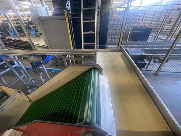 Grote foto unitec cherry vision unical 200 oc 1c8 1 11v174 sorteermachine voor cherrytomaatjes en kersen agrarisch tuinbouw