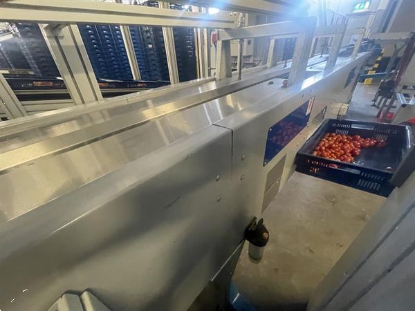 Grote foto unitec cherry vision unical 200 oc 1c8 1 11v174 sorteermachine voor cherrytomaatjes en kersen agrarisch tuinbouw