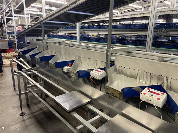 Grote foto unitec cherry vision unical 200 oc 1c8 1 11v174 sorteermachine voor cherrytomaatjes en kersen agrarisch tuinbouw