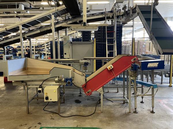 Grote foto unitec cherry vision unical 200 oc 1c8 1 11v174 sorteermachine voor cherrytomaatjes en kersen agrarisch tuinbouw