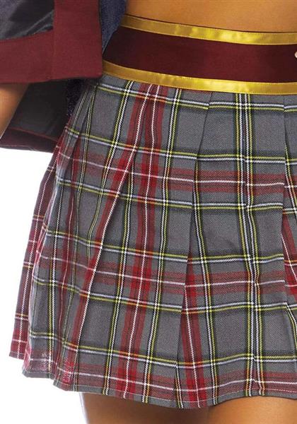 Grote foto schoolmeisje kostuum grijs rood dames leg avenue verzamelen overige verzamelingen