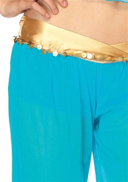 Grote foto prinses jasmine kostuum blauw dames leg avenue verzamelen overige verzamelingen