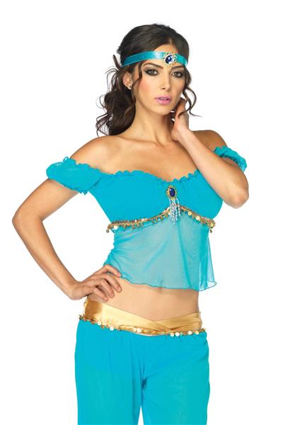 Grote foto prinses jasmine kostuum blauw dames leg avenue verzamelen overige verzamelingen