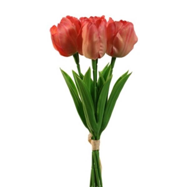 Grote foto tulp tulpen coral 33cm bundel van 5 stuks zijde merk pure zijde tulpen verzamelen overige verzamelingen