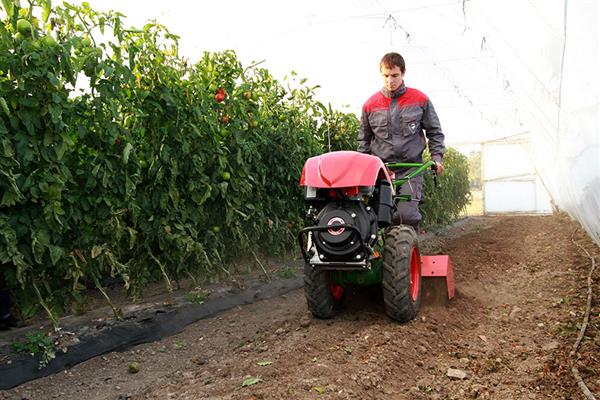 Grote foto fpm tweewiel tractor 408 km178f kipor 5.00 demo agrarisch tractoren