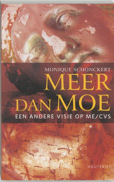 Grote foto meer dan moe boeken gezondheid en voeding