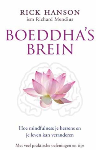 Grote foto boeddha brein boeken psychologie